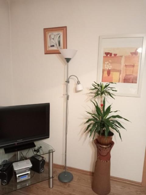 Apartament Stroma 4 자코파네 외부 사진